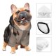 thumbnail image 3 of Balery Funny Horse Faces Expressions Sudadera con Capucha para Perros Pequeños – Ropa para Mascotas, Disfraz para Perros y Gatos, Ideal para Fiestas y Cosplay-Small, 3 of 7