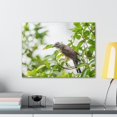 thumbnail image 4 of Hunting Cuckoo Bird Print Animal Wall Art Wildlife Canvas Prints Wall Art Ready to Hang Unframed, 4 of 18