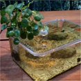 thumbnail image 4 of Turtle breeding tank water and land with sun drying platform small desktop, 4 of 7