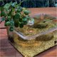thumbnail image 4 of Tanque de cría de tortugas agua y tierra con plataforma de secado al sol escritorio pequeño, 4 of 7