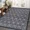 Black/Gray, variant on Hasoo 5' x 7' Area Rug for Living Room Modern Floral Thin Carpet Non-Slip Rug Foldable Indoor Rug for Bedroom Kitchen Colorful