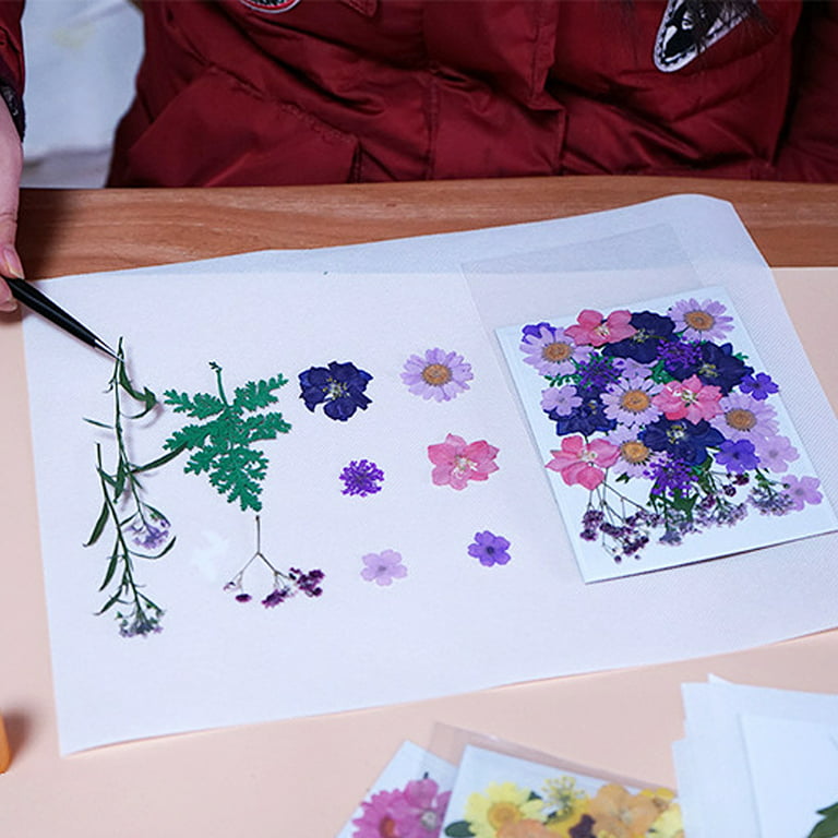 Babys Breath DIY Dried Flower Material Pack - DIY Craft Flower Specimen