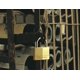 thumbnail image 2 of Padlock Master Lock 140Q de latón macizo, paquete de 4 unidades con llave, 2 of 6