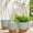 Green+brown, variant on 10/9/8 Inch Hanging Planter for Indoor Outdoor Plants, 3 Pack Self-Watering Hanging Pots with Drainage Holes and Removable Trays, Green and Brown