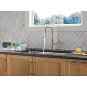 Delta 19868Lf Nicoli 1.8 GPM Single Hole Pull Down Kitchen Faucet - Matte Black /