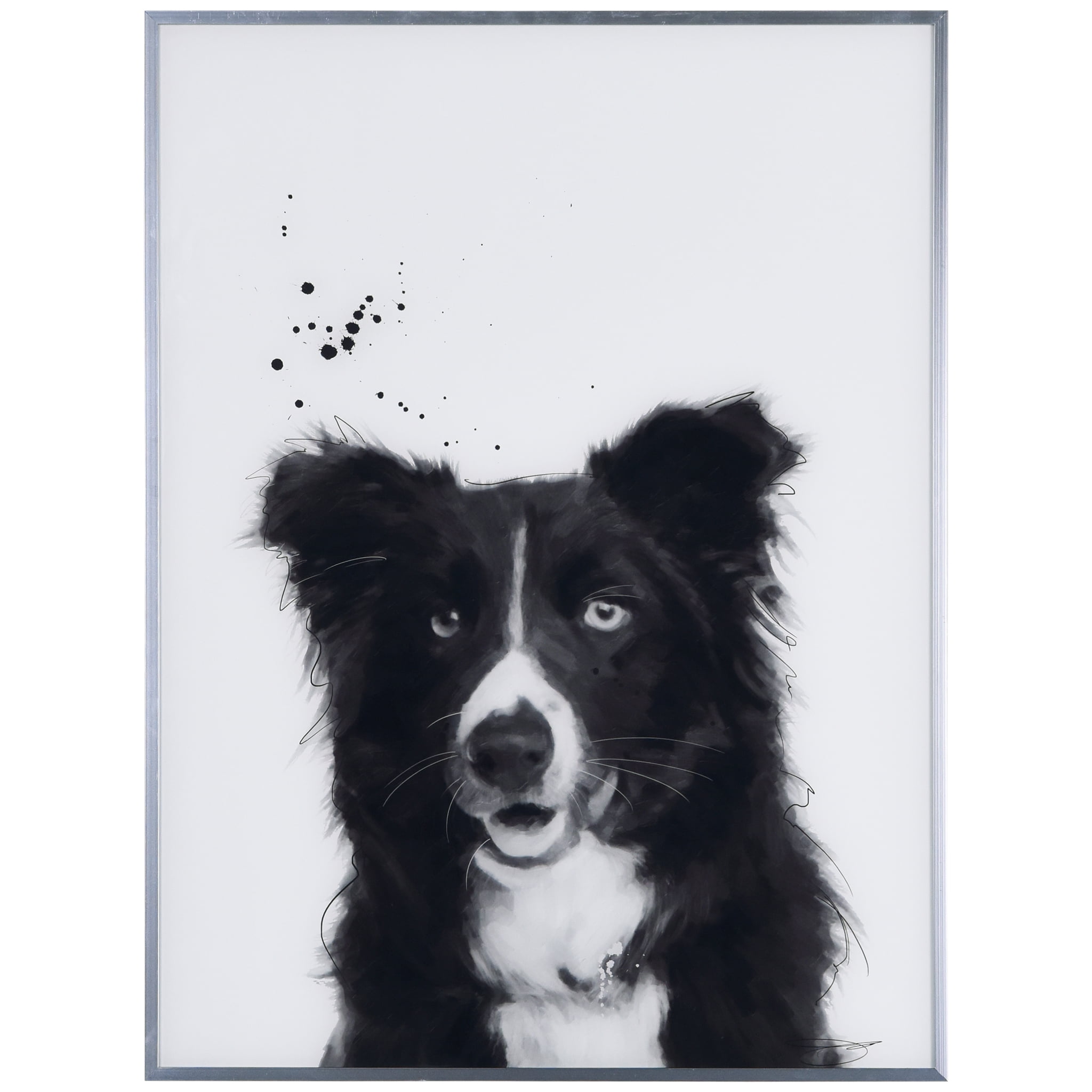 Caps PAW I LOVE MY BORDER COLLIE Dog Pet Black Metal License Plate Frame