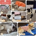 thumbnail image 6 of KYEESE 2Pack Waffle Dog Shirts, Blue+Grey, Dog Shirt for Small Dogs, L, 6 of 10