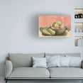 thumbnail image 3 of Trademark Fine Art Alicia Longley Summer Harvest Bowl II Canvas Wall Art, 3 of 4
