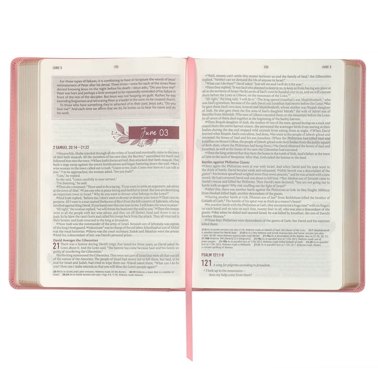 Christian Art Gifts, Bible, NLT Daily Devotional Pink Leather