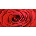 thumbnail image 2 of Lewis, Sheldon 32x18 Black Ornate Wood Framed with Double Matting Museum Art Print Titled - Heart Of The Rose, 2 of 4