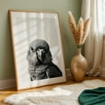 thumbnail image 5 of baby parro - Photography Bird Wildlife Black and White Portrait Animal Minimalist Nature Oak Framed Wall Art Print 20 x 30 inches, 5 of 59