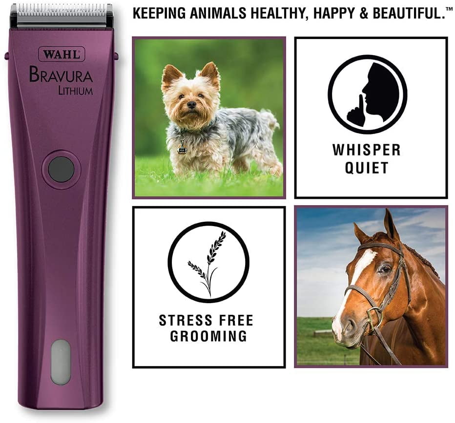 wahl professional animal bravura