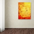 thumbnail image 4 of Trademark Fine Art "Thinking Bubble" Canvas Art by Philippe Sainte-Laudy, 4 of 4