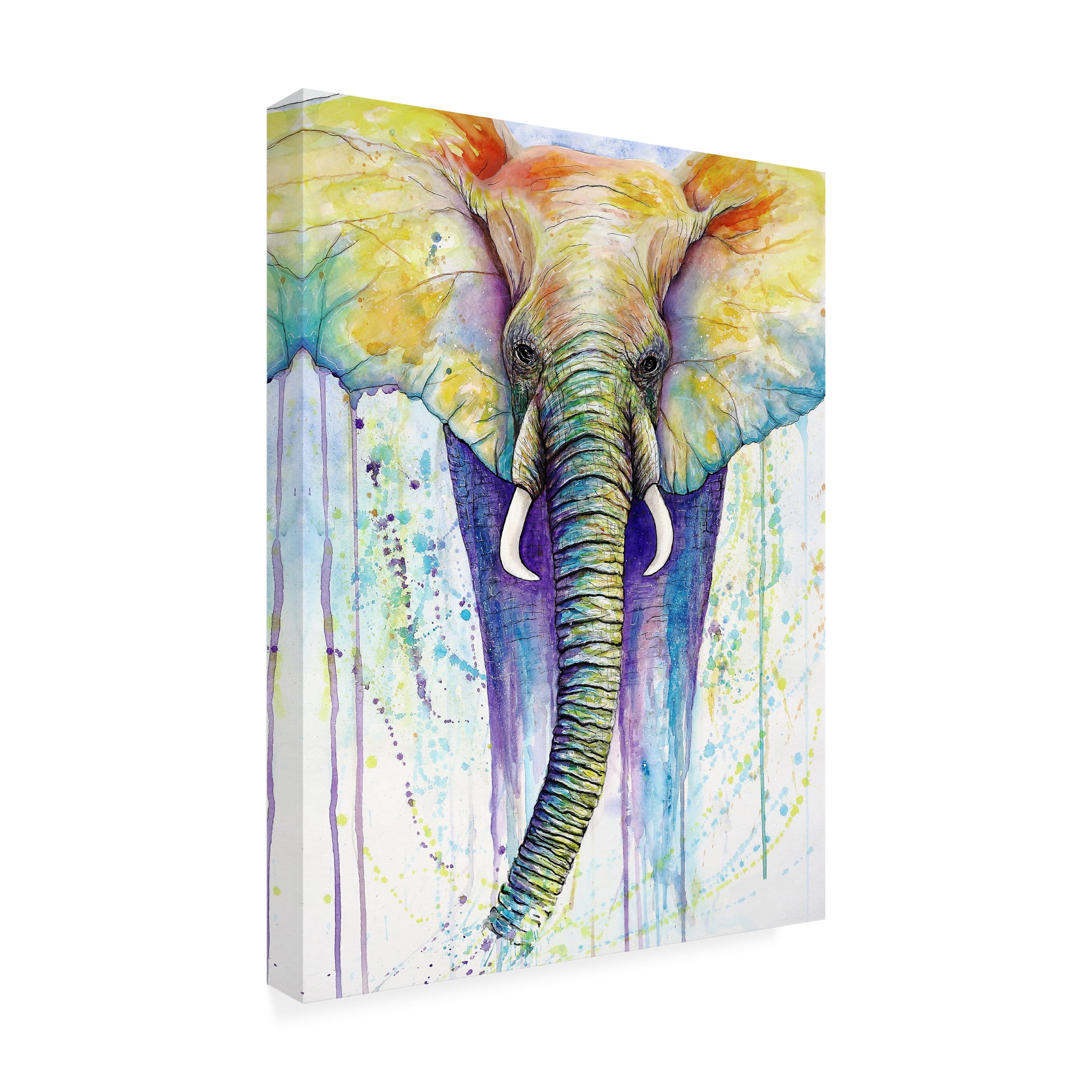 Trademark Fine Art 'Elephant Colors' Canvas Art by Michelle Faber