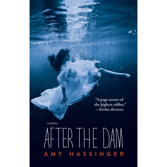 After the Dam, (Paperback)