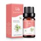 thumbnail image 2 of Price Drop Aromatherapy Water Soluble Oil Aromatherapy Suitable For Humidifier 10ml, 2 of 6