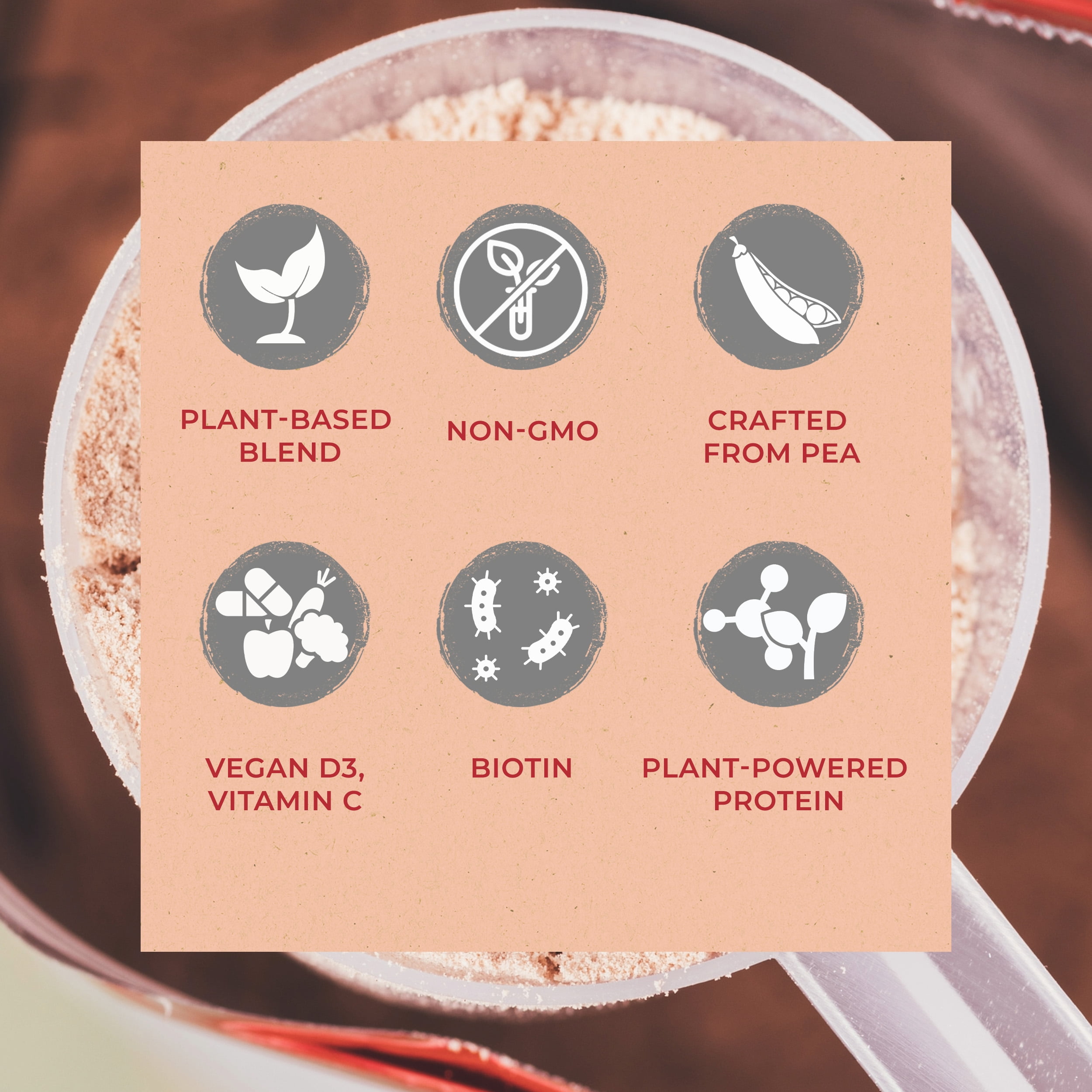 Zenbodi Fuel Vegan Protein Powder Fruit Flavor - 21g of Protein Each Serving, Delicious Plant-Based Blend for Muscle Growth, Crafted from Pea, with Vegan D3, No Artificial Flavors, Gluten-Free