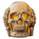 thumbnail image 1 of Ornament Light Sanbu Skull Lighting Table Decoration Halloween Decoration, 1 of 5