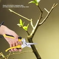 thumbnail image 3 of Sarapandan 8" Stainless Steel Pruning Shears Cutter Home Gardening Plant Scissor Branch Pruner Hand Tool, 3 of 8