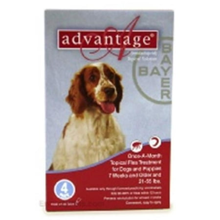 Bayer ADVANTAGE4-RED Advantage 4 Pack Dog 21-55 Lbs. -