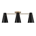 thumbnail image 4 of Golden Lighting Reeva 3-light Semi-Flush Mount in Modern Brass and Matte Black shade, 4 of 11