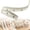 D, variant on Classroom Ribbon for Crafts, 0.6 Inch x 5 Yards Teacher Ribbons, Back to Classroom Ribbon, Bus Pencil Apples ABC Decorative Wrapping Ribbon for Hair Wreath Bow Sewing DIY Crafts, Style C