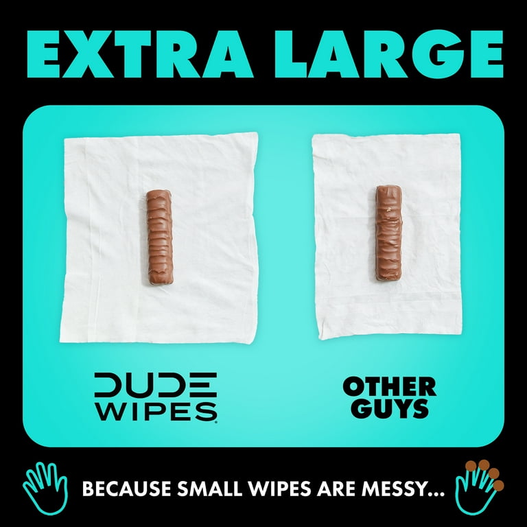 DUDE Flushable Wipes for Men, Mint Chill, 48 Count