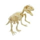 thumbnail image 5 of Kit de ensamblaje de esqueleto de dinosaurio hecho a mano para niños, modelo de esqueleto de plástico de fósil de dinosaurio de simulación, modelo de Tiranosaurio Rex, 5 of 5