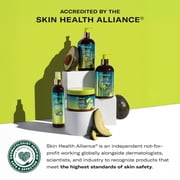Mielle Avocado and Tamanu Anti-Frizz Curl Perfector - 12 oz