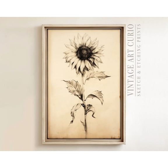 Antique Xl Sunflower Wall Art, Soft Light Neutral Tones, Vintage Sunflower Art Print Home Decor #3606, 8x12 UNFRAMED