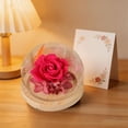 thumbnail image 4 of Preserved Real Flower Glass Dome Eternal Carnation Rose Display For Home Tabletop Decor Gift, 4 of 7