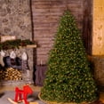 thumbnail image 5 of National Tree Company 10 ft. Pre-Lit Feel Real® Medium Artificial Christmas Tree, Green, Jersey Fraser Fir, Dual Color® LED Lights, Includes Stand, 5 of 5