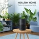 thumbnail image 2 of Purificador de aire FULMINARE H13 True HEPA para dormitorio (paquete de 2), 2 of 8