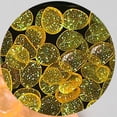 thumbnail image 3 of Nkmbld 100Pcs Glow in The Dark Pebbles Stones, Resin Decorative Pebbles Aquarium Rocks for Landscaping Walkway Pathway Backyard Fish Tank Plant, 3 of 8