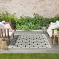thumbnail image 4 of Nourison Essentials Indoor/Outdoor Ivory Black 4' x 6' Area Rug (4x6), 4 of 9