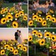 thumbnail image 3 of Luces solares de jardín TEDOF con diseño de girasoles, impermeables, paquete de 4, 3 of 7