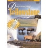 Discovering Yellowstone