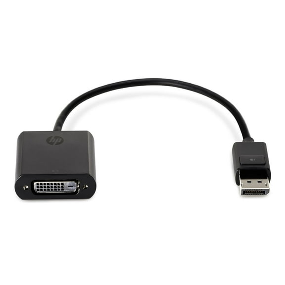 HP DISPLAY PORT TO DVI