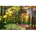thumbnail image 2 of Jones, Allison 24x17 Black Ornate Wood Framed with Double Matting Museum Art Print Titled - USA-Vermont-Morrisville-Jopson Lane Fall foliage, 2 of 4