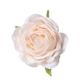 thumbnail image 2 of Cabeza de flor de rosa de tela de seda, flor artificial, flor artificial, decoración del hogar para bodas, disfraces, 2 of 6