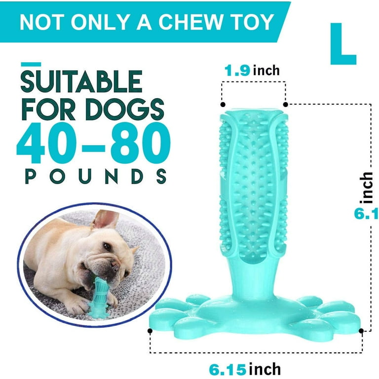 How Much Water Does A 40 Pound Dog Need