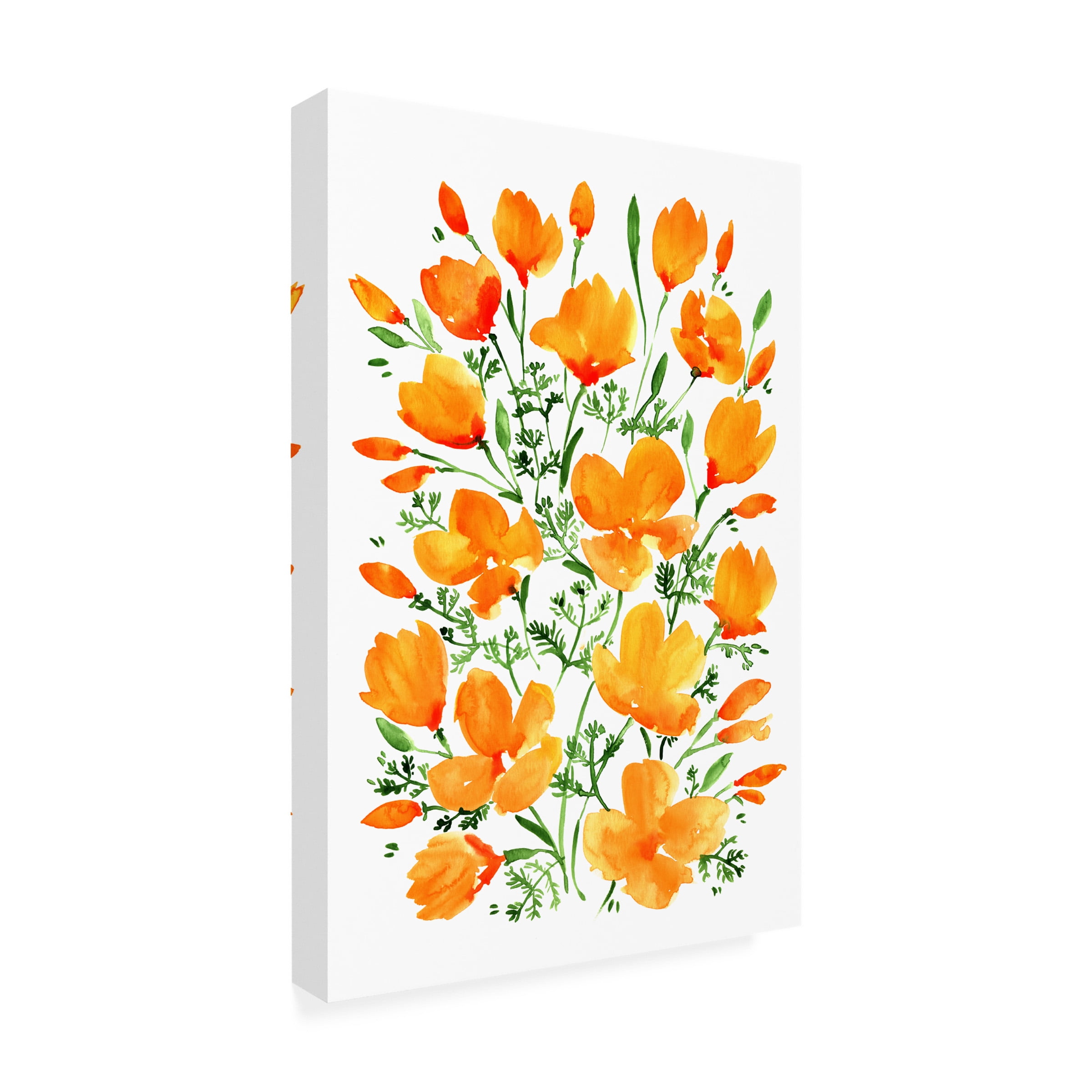 Rosana Laiz Blursbyai 'Watercolor California poppies' Canvas Art