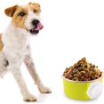 thumbnail image 3 of Jaula comedero, suspensión para mascotas, jaula extraíble, comida de acero inoxidable, agua para perros, gatos y animales pequeños, 3 of 5