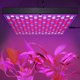 thumbnail image 2 of Luz LED de cultivo para plantas de interior de 45W, lámpara de cultivo de plantas de espectro completo, enchufe AC85-265V de EE. UU., 2 of 8