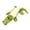 Green, variant on Plush Crocodile Dog Chew Toy Linen Molar Teeth Cleaning Toy for Boredom Interactive Play, 11 Inch Blue