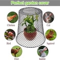 thumbnail image 3 of Shengyu 5pack/lot Chicken Wire Cloche Plant Covers Sturdy Metal Cage Protector Metal Plants Cage Protector B 5PCS, 3 of 6