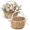 Brown Pearl Handle, variant on Flower Girl Basket Set of 2, Reusable,for Wedding Petals, Confetti, Candy & Gifts; Lightweight