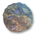 thumbnail image 1 of Ocean Colorful Fish Science Nature Picture Round Throw Pillow Home Decoration Cushion, 1 of 3