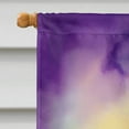 thumbnail image 5 of Alligator King of Mardi Gras House Flag 28 in x 40 in, 5 of 7