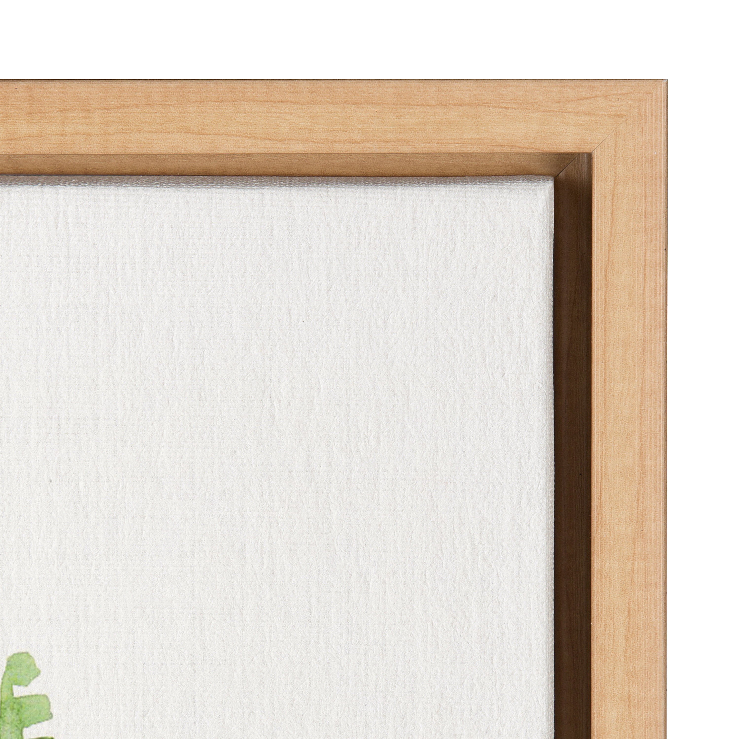 Kate and Laurel Sylvie Sword Ferns Framed Canvas Wall Art by Patricia Shaw 18x24 Natural Nature Themed Art for Wall